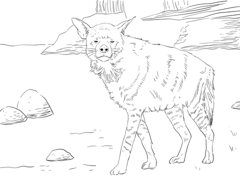 Striped Hyena Coloring Page